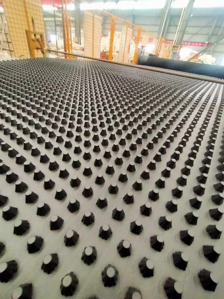 1500g屋顶排水板嘉海